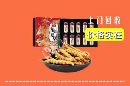温州永嘉县回收冬虫夏草