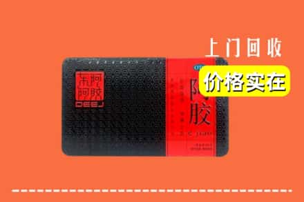 温州永嘉县回收阿胶