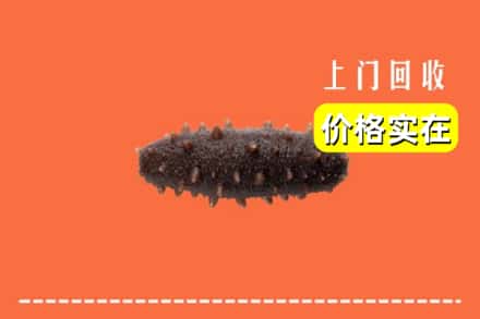 温州永嘉县回收海参