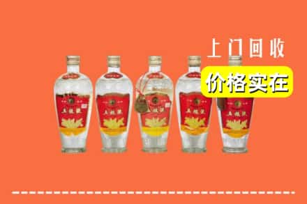 诚信求购:温州永嘉县高价回收老五粮液